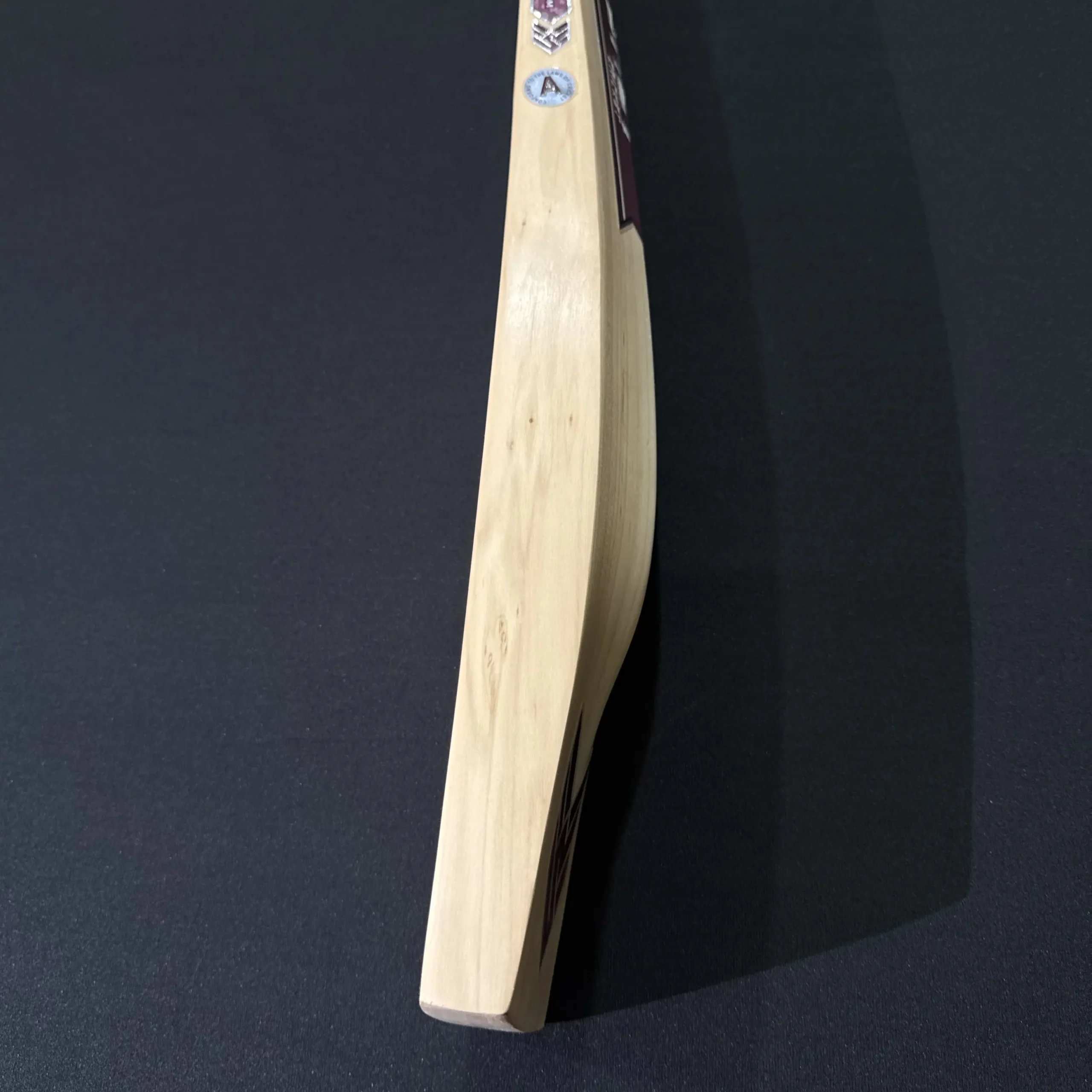 Fury Bat 003