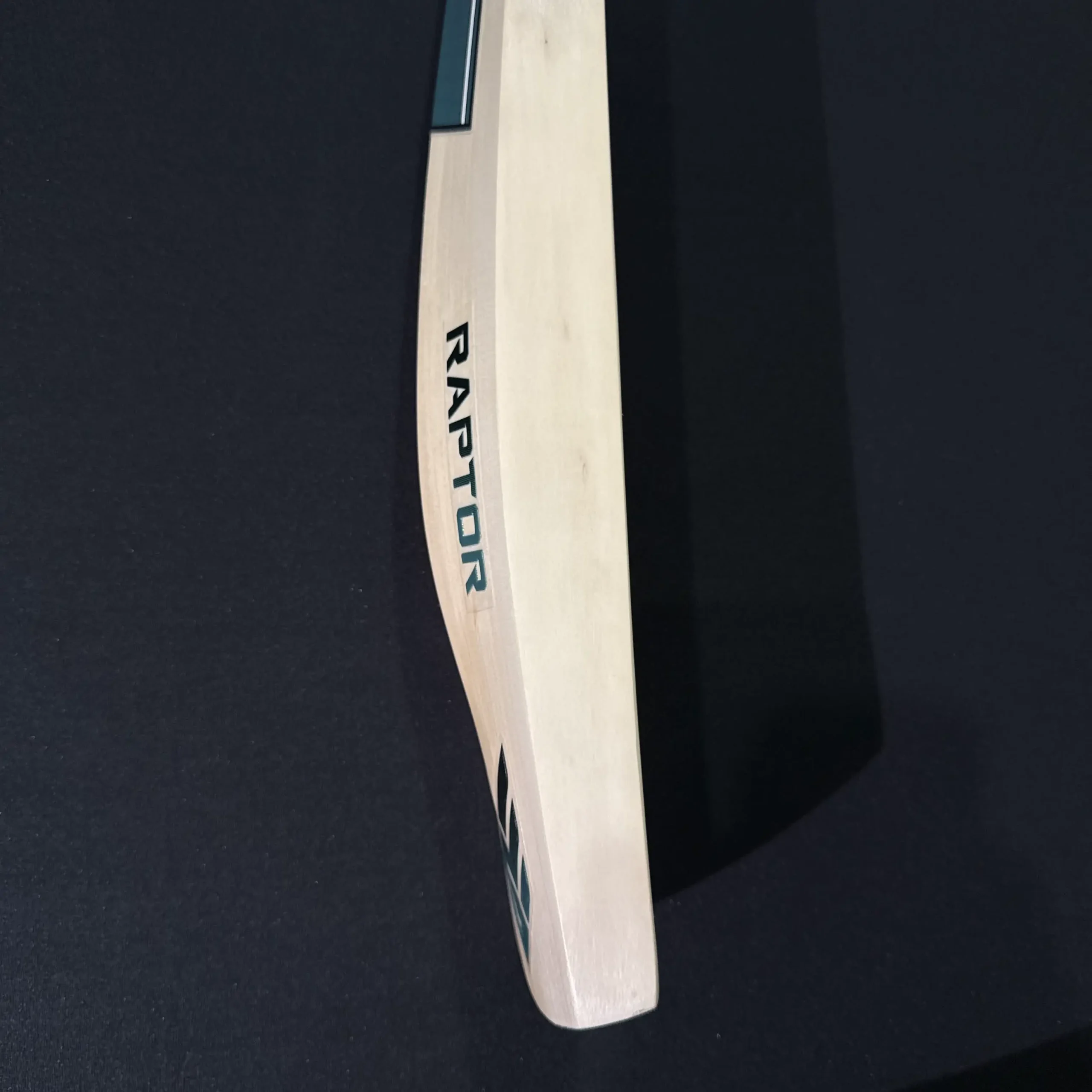 Raptor Bat 001