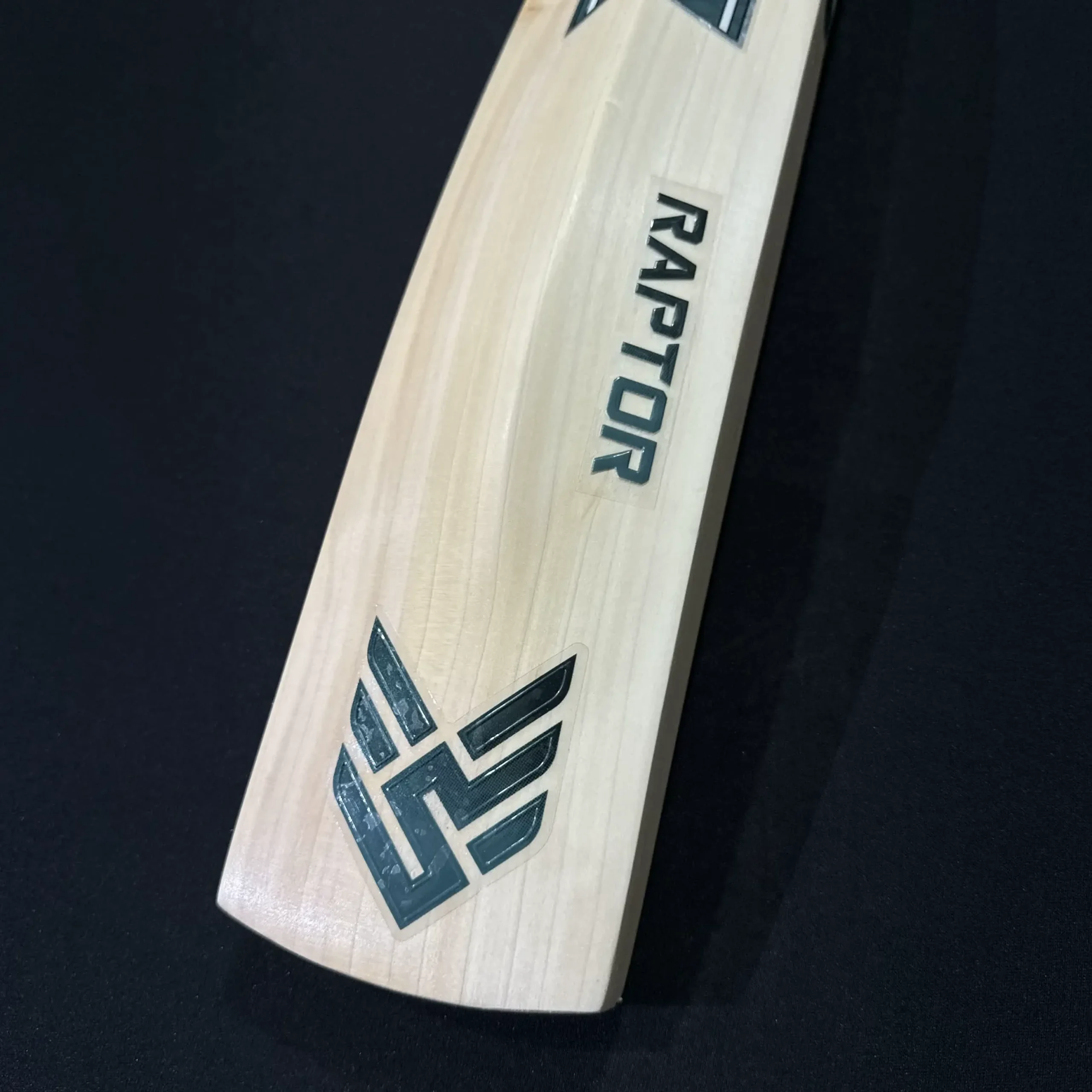 Raptor Bat 001