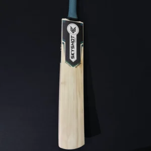 Gladius Bat 003