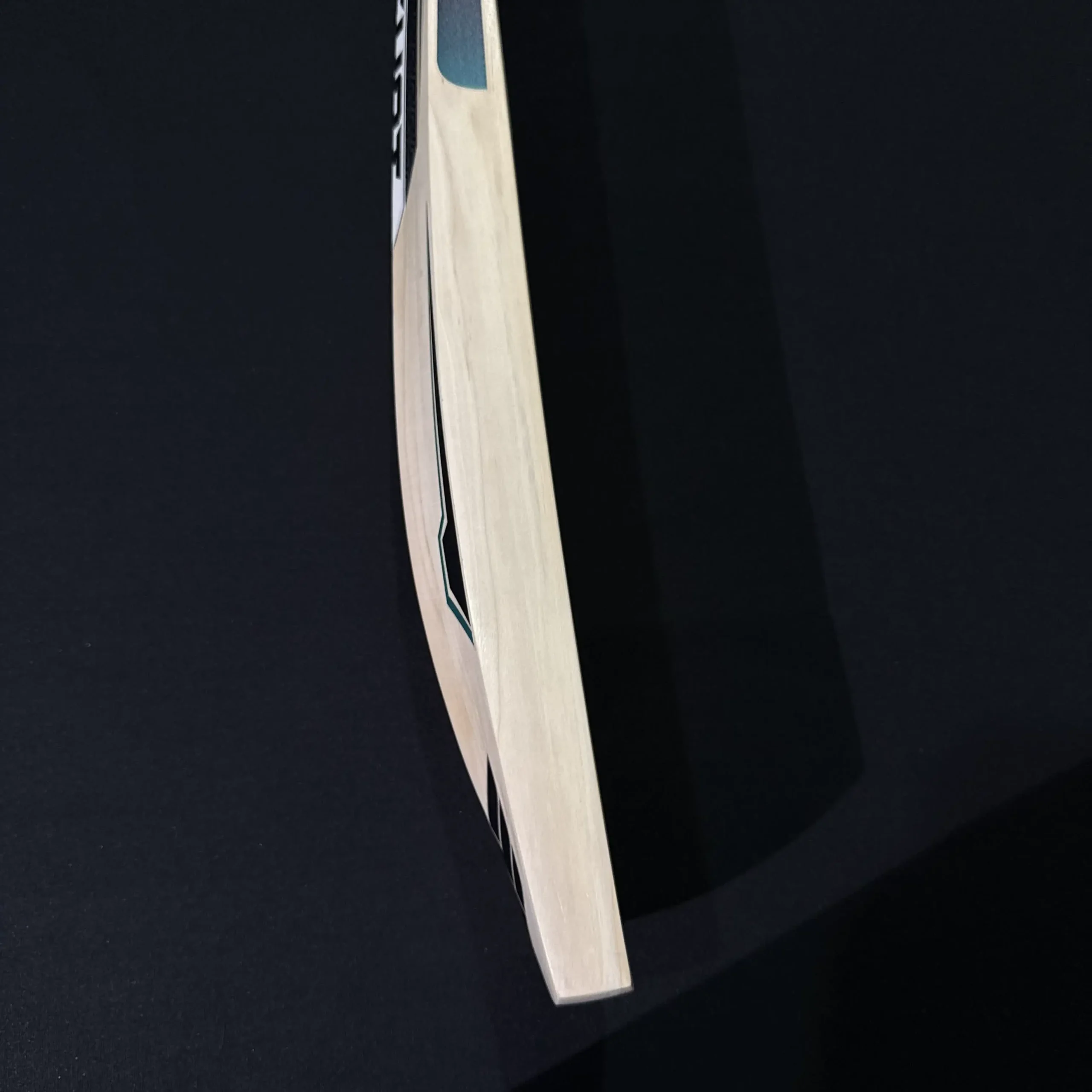 Gladius Bat 003