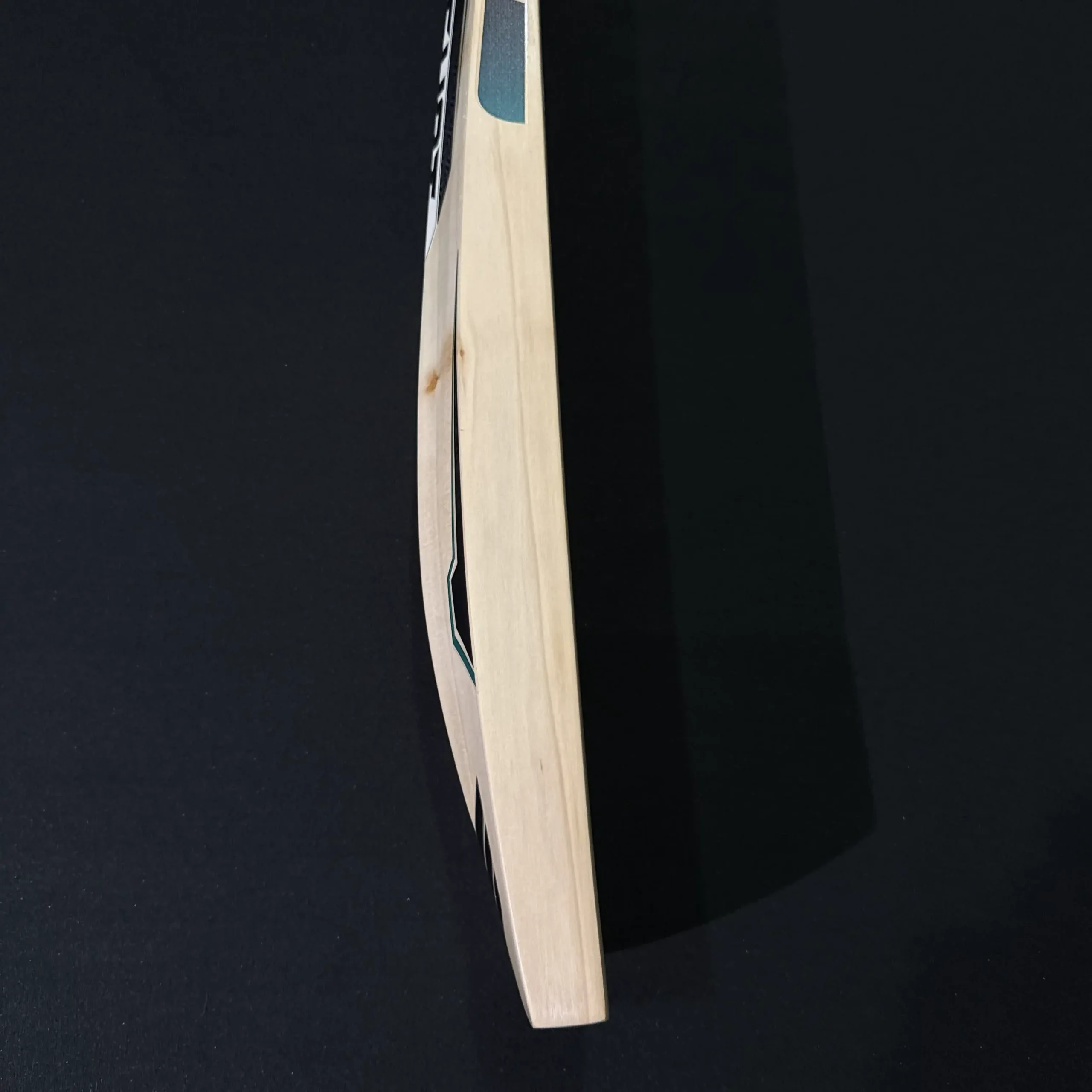 Gladius Bat 002