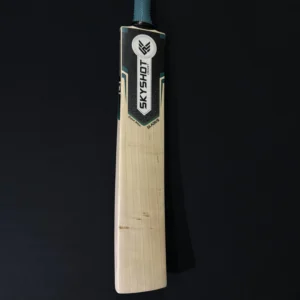 Gladius Bat 001