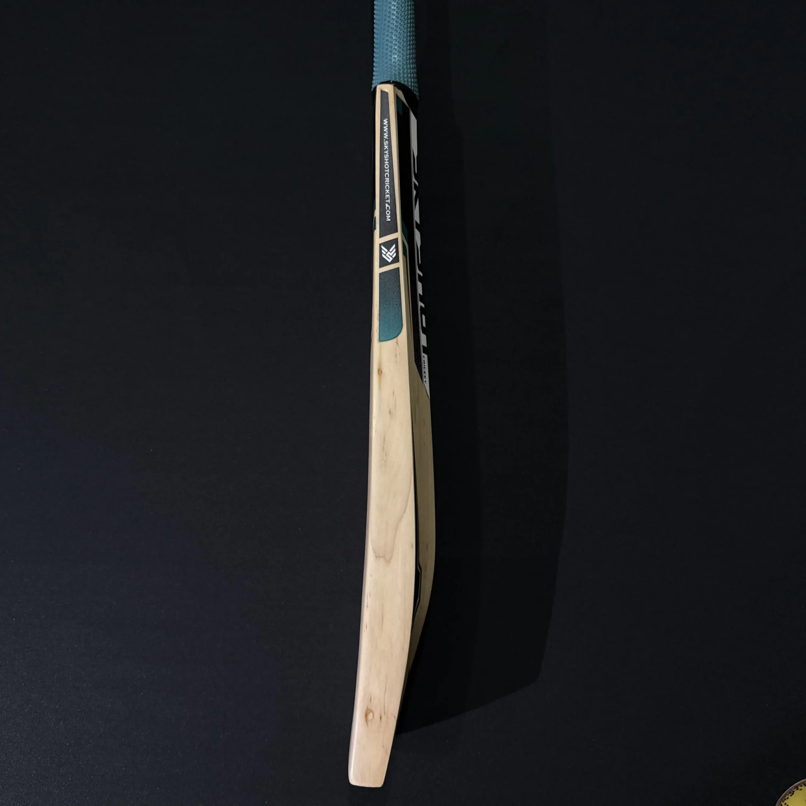Gladius Bat 001